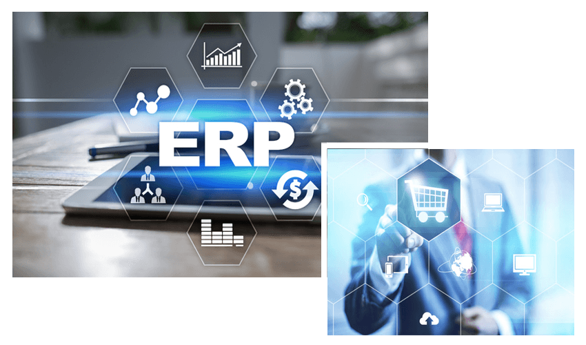 erp-it-system